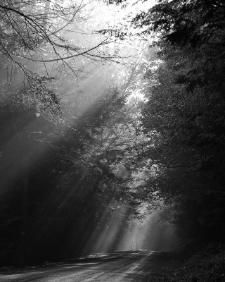 Light - black & white