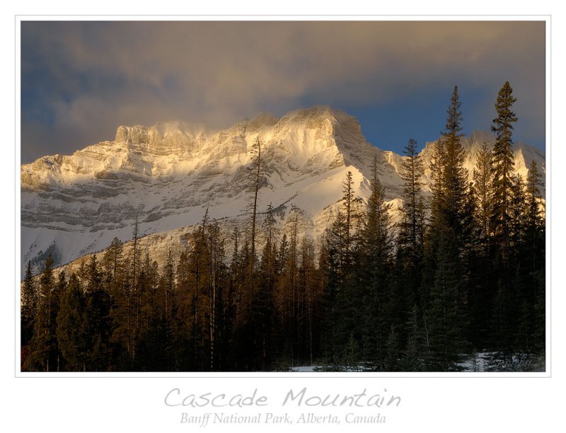 Fresh Snow