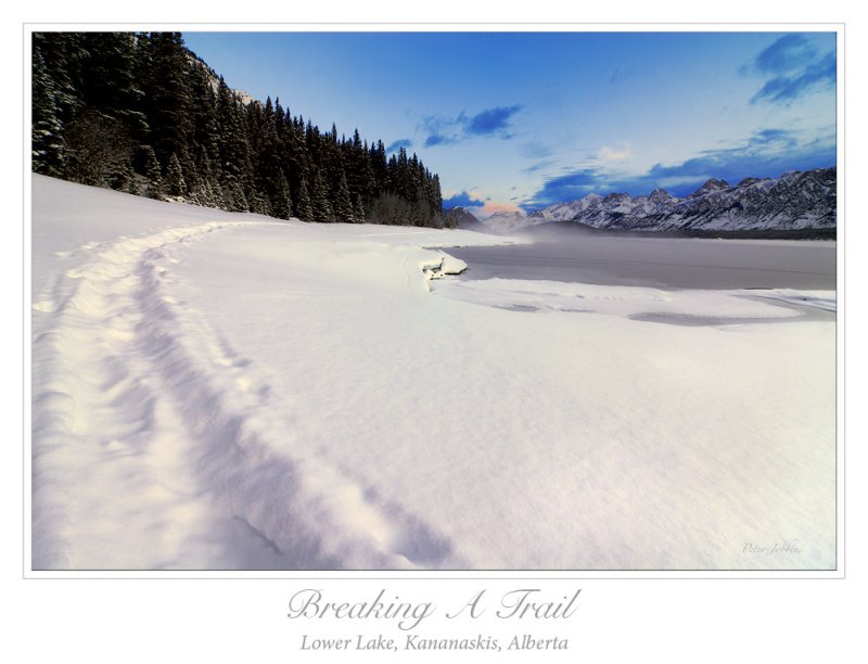 A Fresh Trail