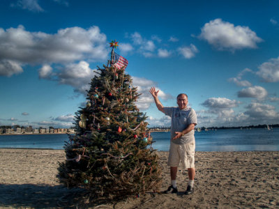 shxmastree-3.jpg