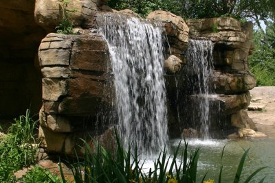 ST. LOUIS ZOO