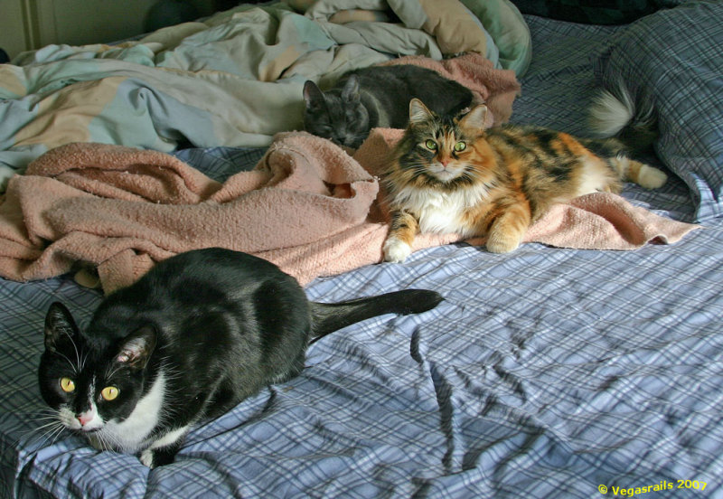 The three some