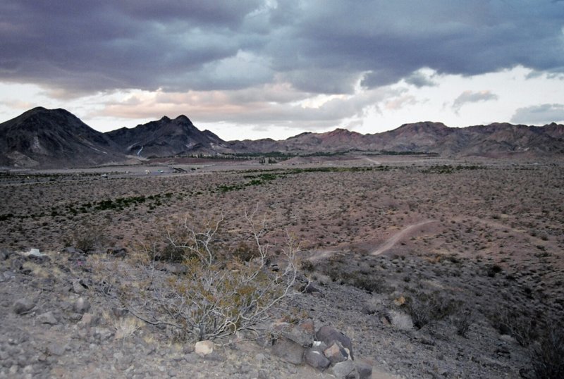                                                    Buddys hill