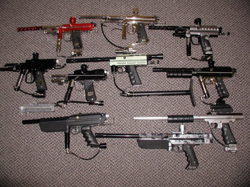 Many cockers.JPG
