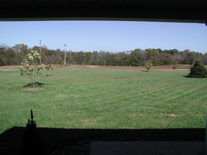 My front yard looking out the front door