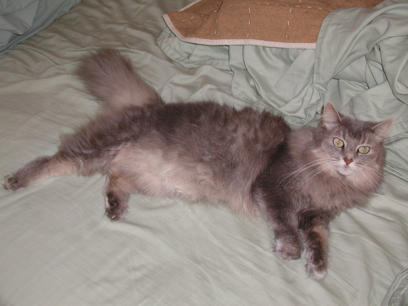 Josephine (relaxing)
