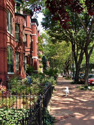 Houses on Lincoln Park
