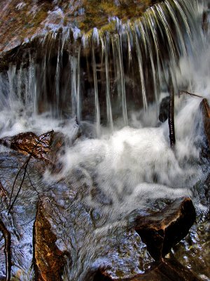 Pearson's Falls hike