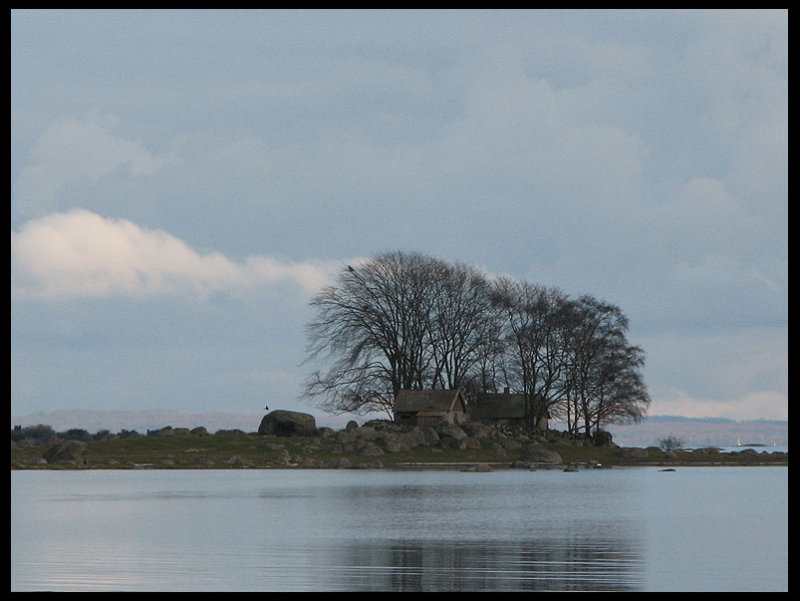 Home of the White-tailed Eagle! jpg