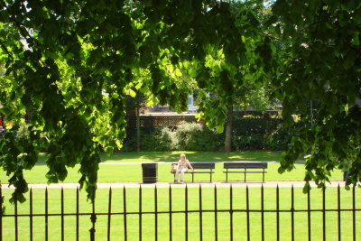 Alone in park. Windsor