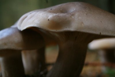 IMG_3059.JPG