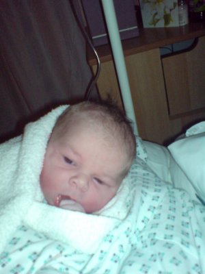 Zander