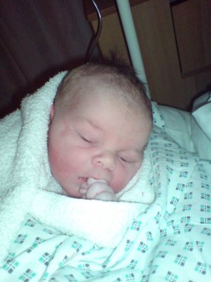 Zander 1 day old