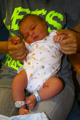 zander