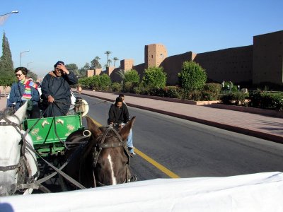 046 Marrakech - Wild ride!.JPG