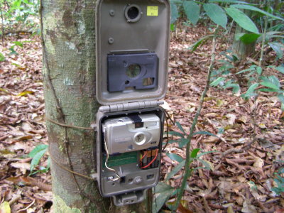 a camera trap, being checked