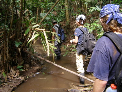 on the Tapir trail