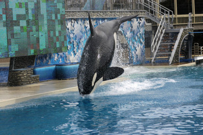 Sea World 109
