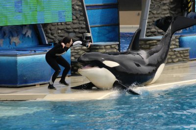 Sea World 125