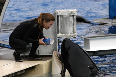 Sea World 136