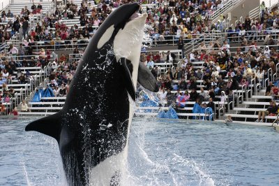 Sea World 182