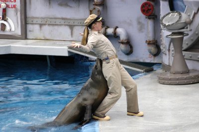 Sea World 213