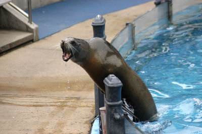 Sea World 214