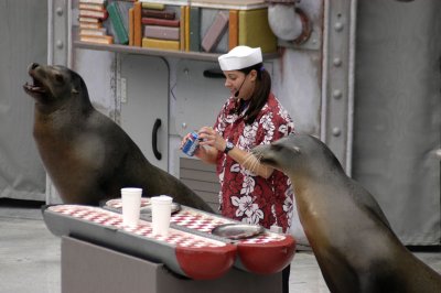 Sea World 218