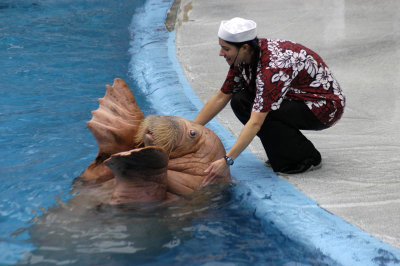 Sea World 249
