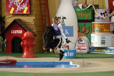 Sea World 263