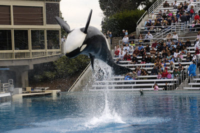 Sea World 106