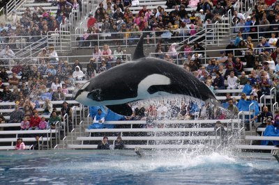 Sea World 108