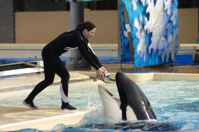 Sea World 126
