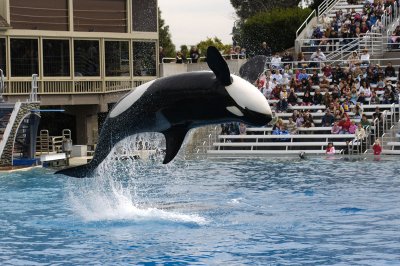 Sea World 129