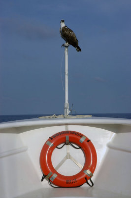 on board