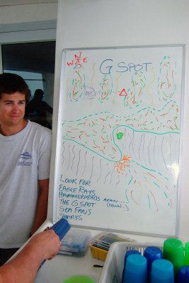 Dive Briefing