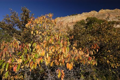 Roxborough Park 05