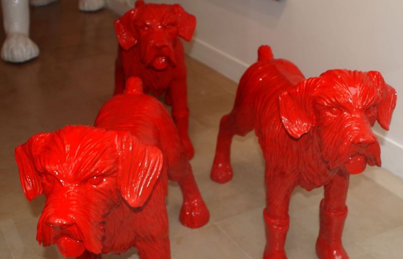 Red dogs