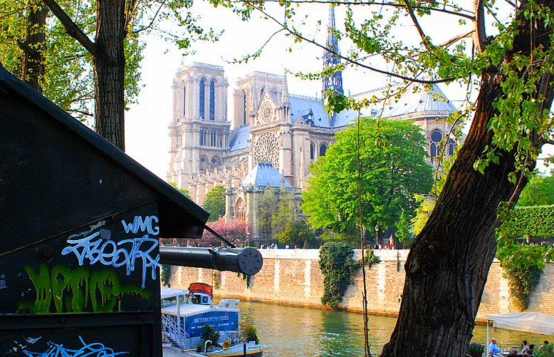 Notre Dame, du Quai Montebello.