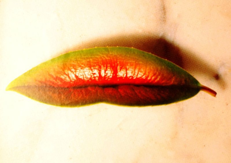 The kiss of fire.
