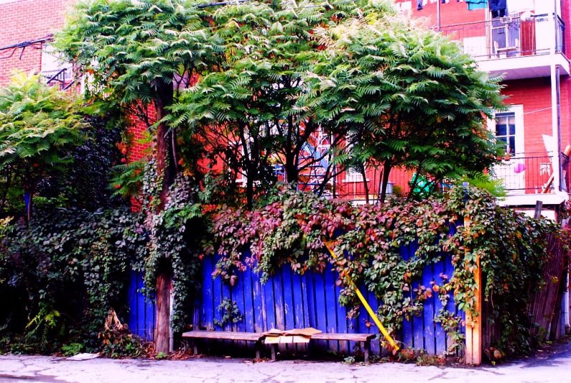 The old bench.