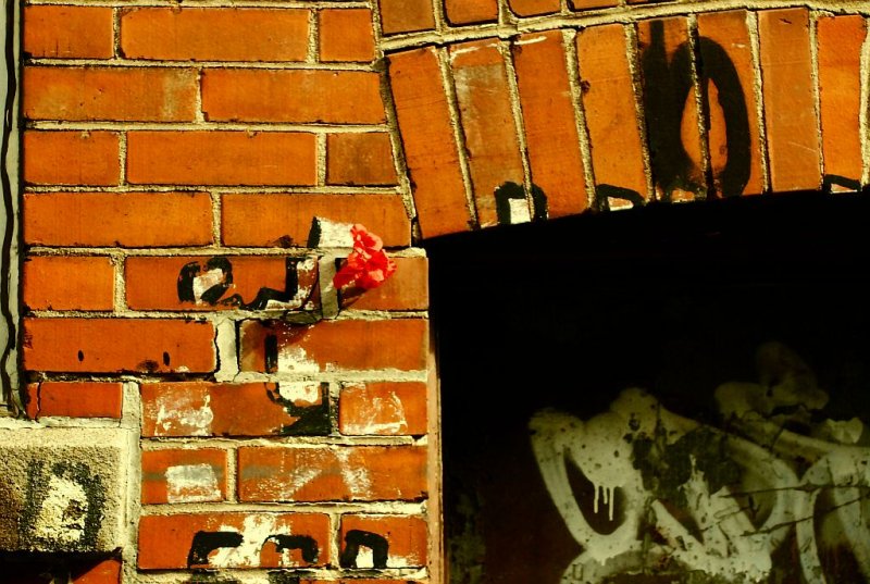 Brick Bloom.