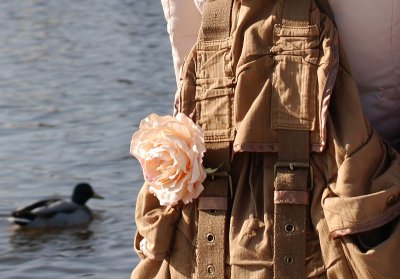 La rose des Tuileries.