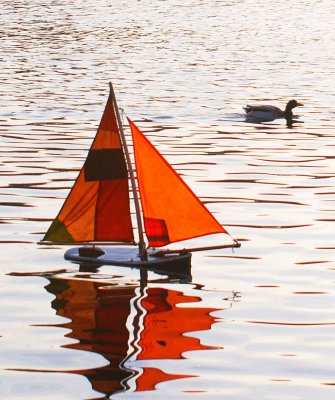 Voiles oranges et colvert.