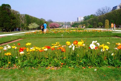 Le printemps au Jardin des Plantes.