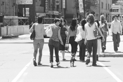 Girls crossing the street with a little dog.