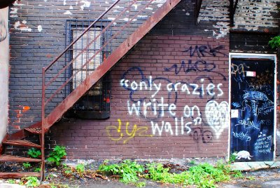 Only crazies shoot the walls where other crazies wrote.