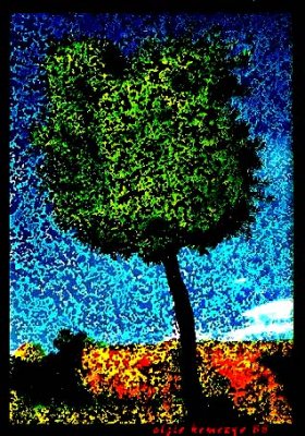acid tree