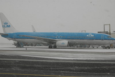 DSC_7958.jpg