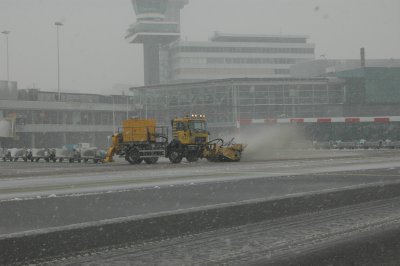 DSC_7960.jpg